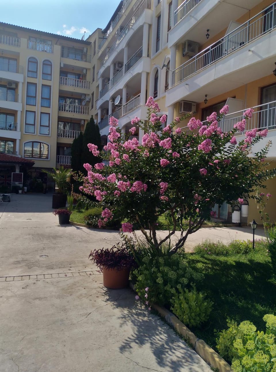 Garden view