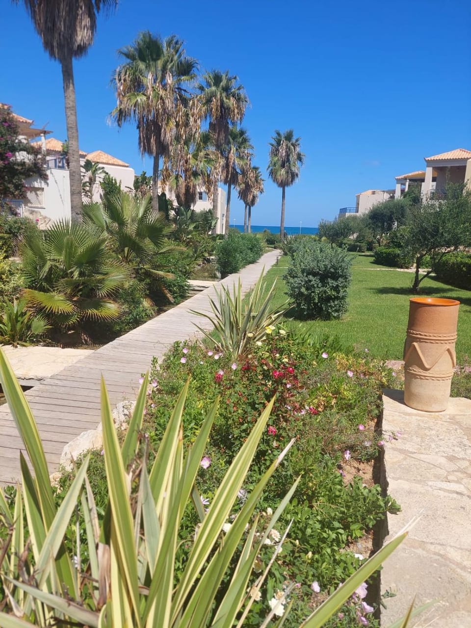 Natural landscape, Garden, Garden view