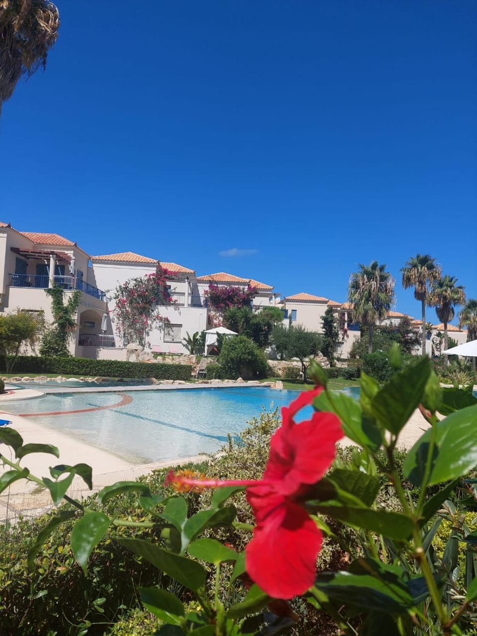 Natural landscape, Garden view, Pool view, Swimming pool