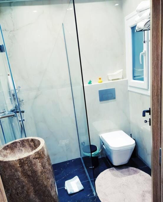 Shower, Toilet, Bathroom, towels