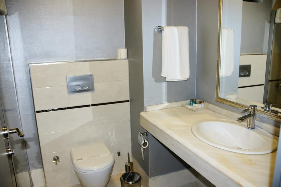 Shower, Toilet