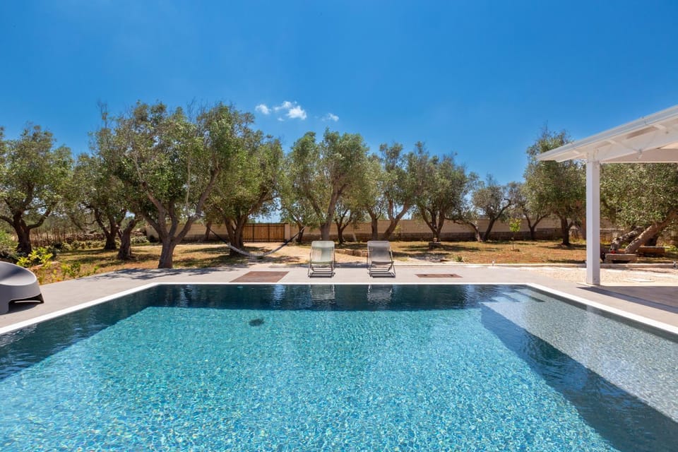 Garden, Swimming pool, sunbed
