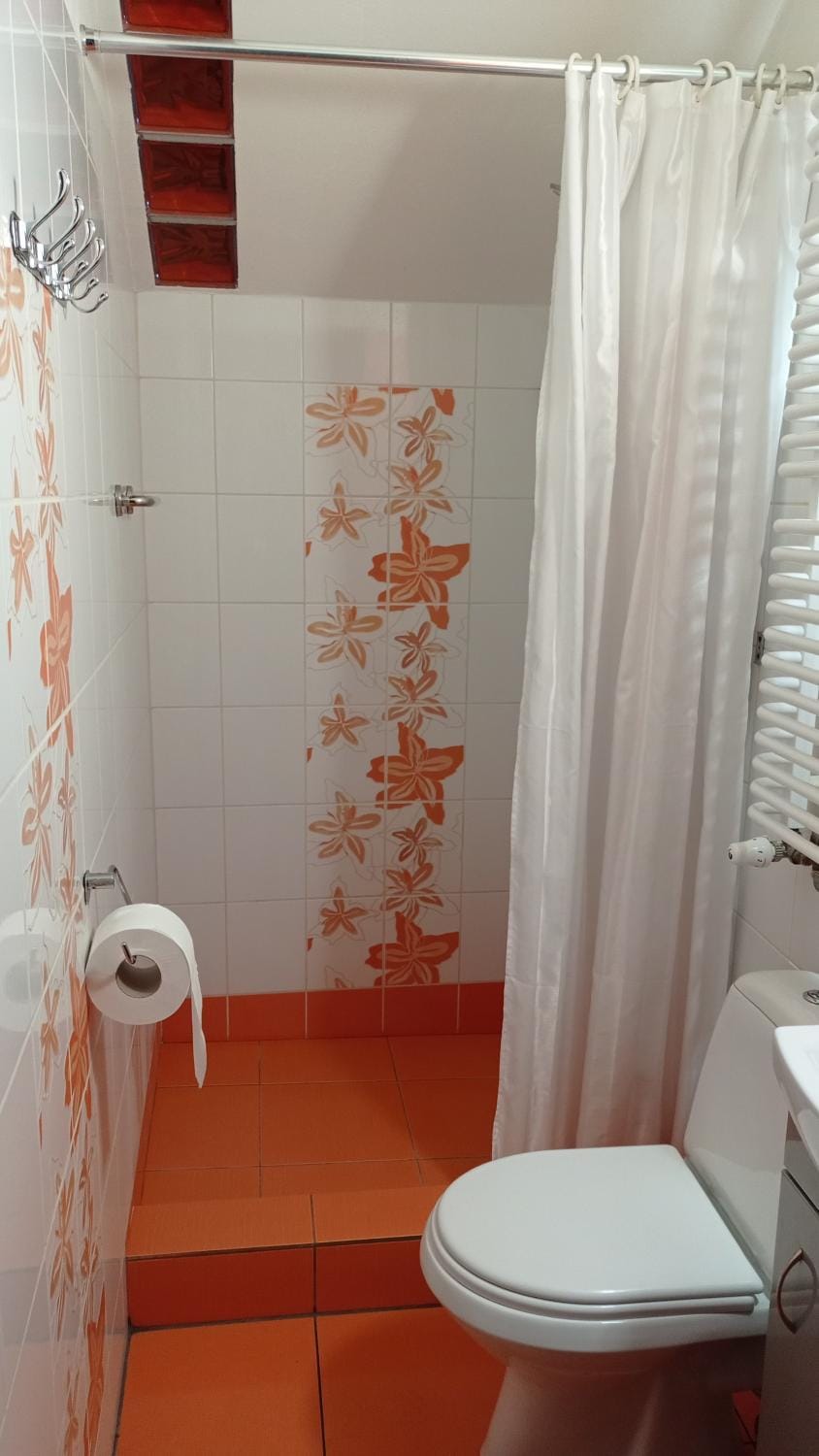 Shower, Toilet, Bathroom, heating, towels