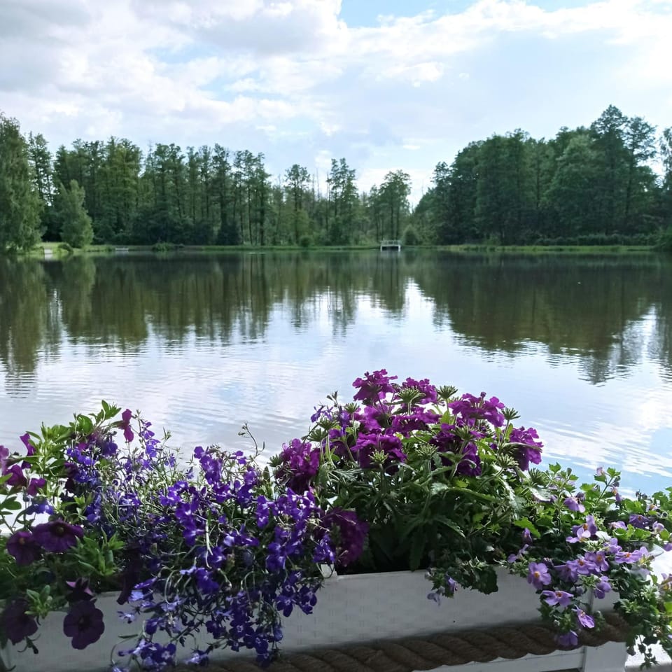 Natural landscape, Lake view