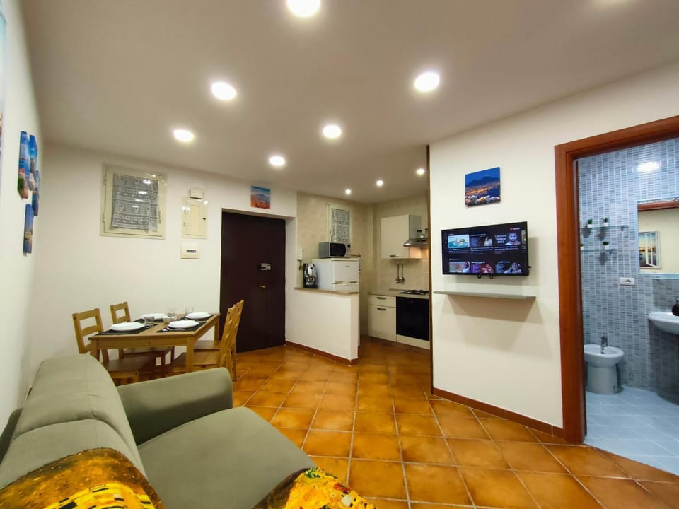 TV and multimedia, Kitchen or kitchenette, Living room, Seating area, Dining area, minibar, pet friendly, stove