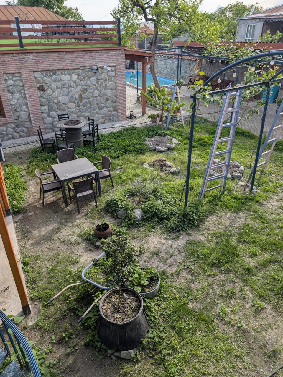 Garden view