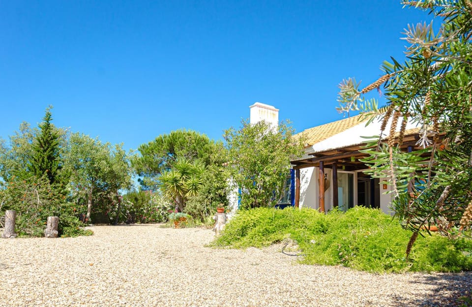 Property building, Garden, Garden view