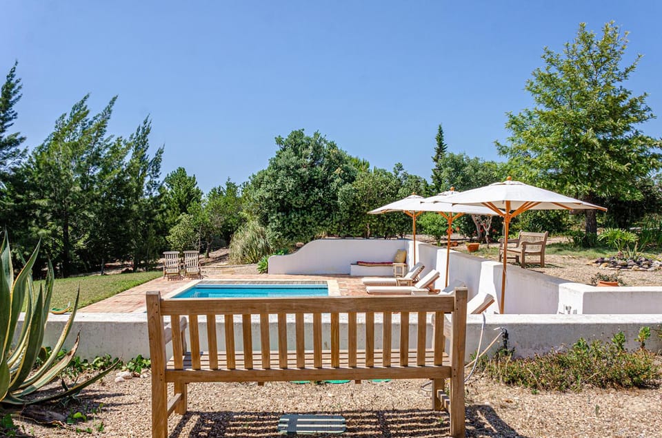 Garden, Pool view, Swimming pool, sunbed