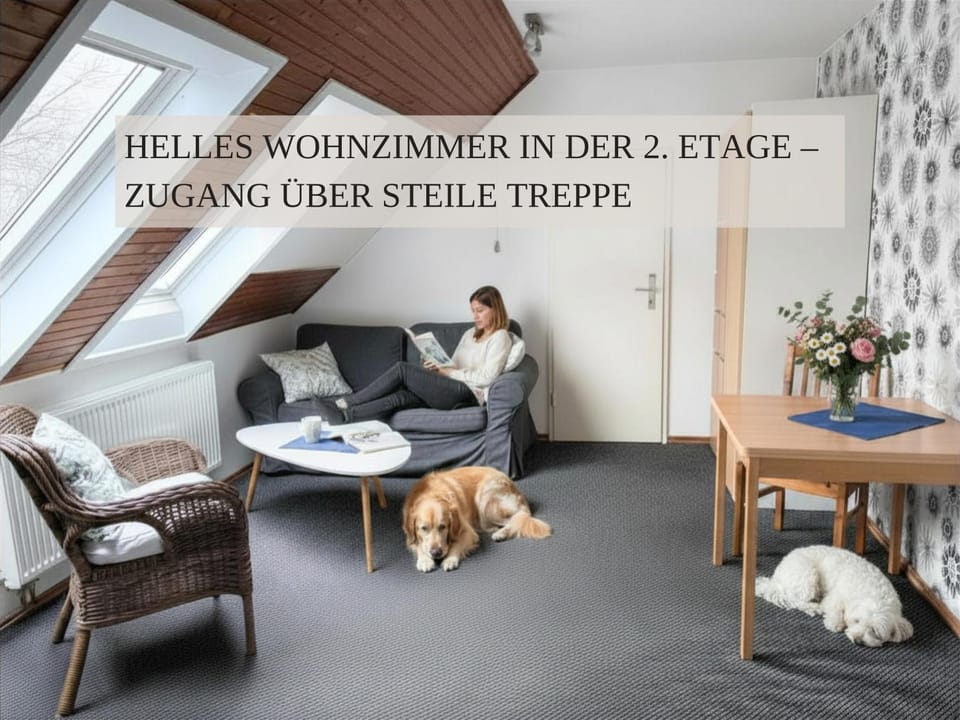 Living room, Seating area, Dining area, Pets, wardrobe