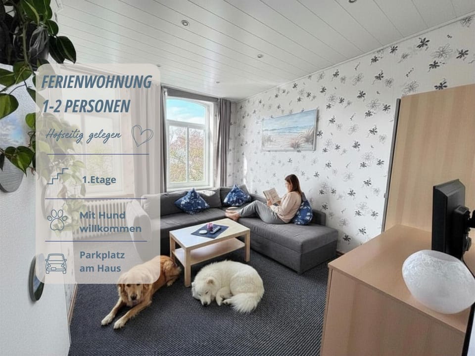 TV and multimedia, Living room, Seating area, Pets