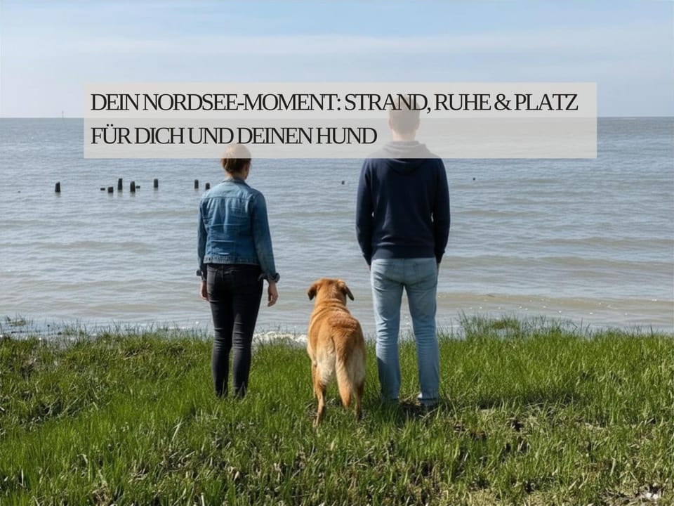 Beach, Animals, On site, pet friendly