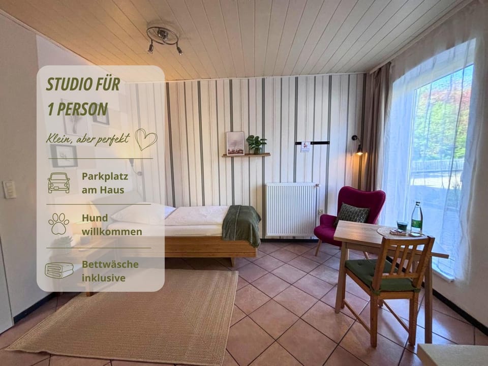 Bed, Living room, Photo of the whole room, Seating area, Bedroom