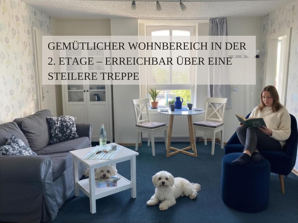 Living room, Seating area, Dining area, Animals, pet friendly