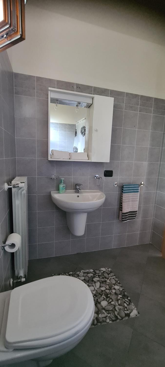 Shower, Toilet, Bathroom