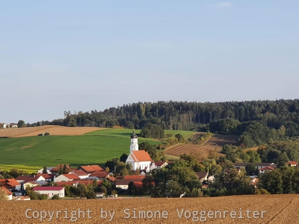 Natural landscape
