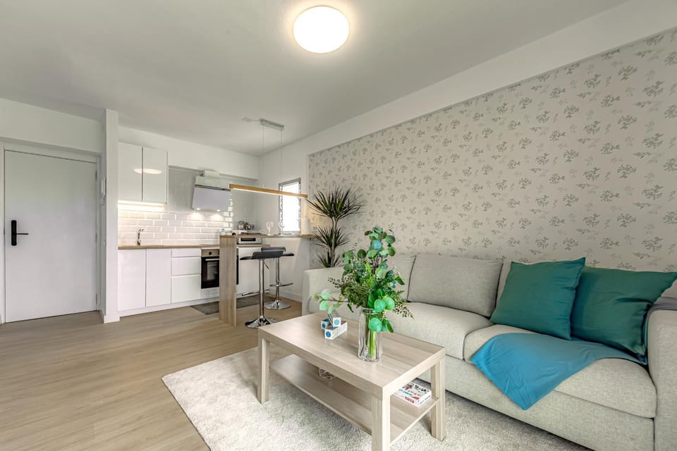 Living room, kitchen