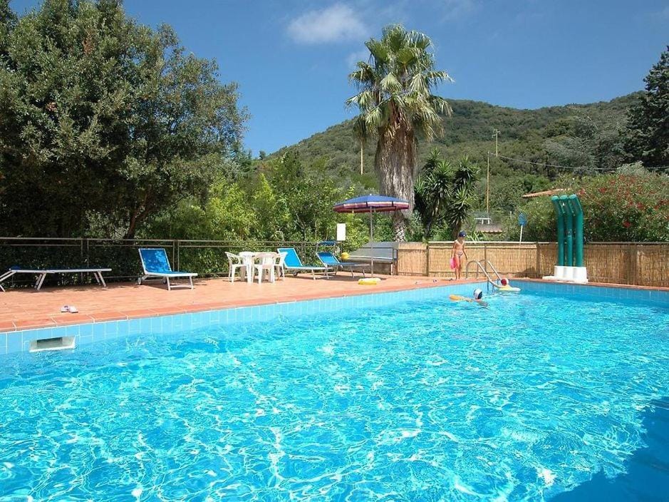 Natural landscape, Swimming pool, sunbed