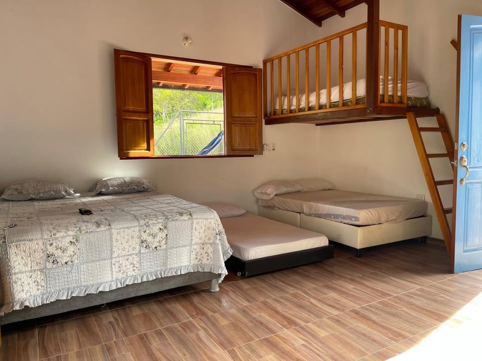 Bed, Photo of the whole room, Bedroom, bunk bed