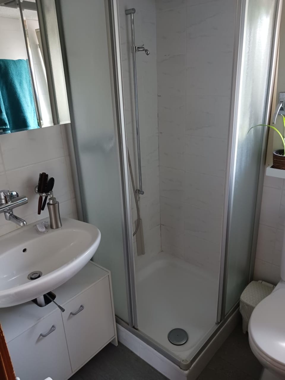Shower, Toilet, Bathroom, towels