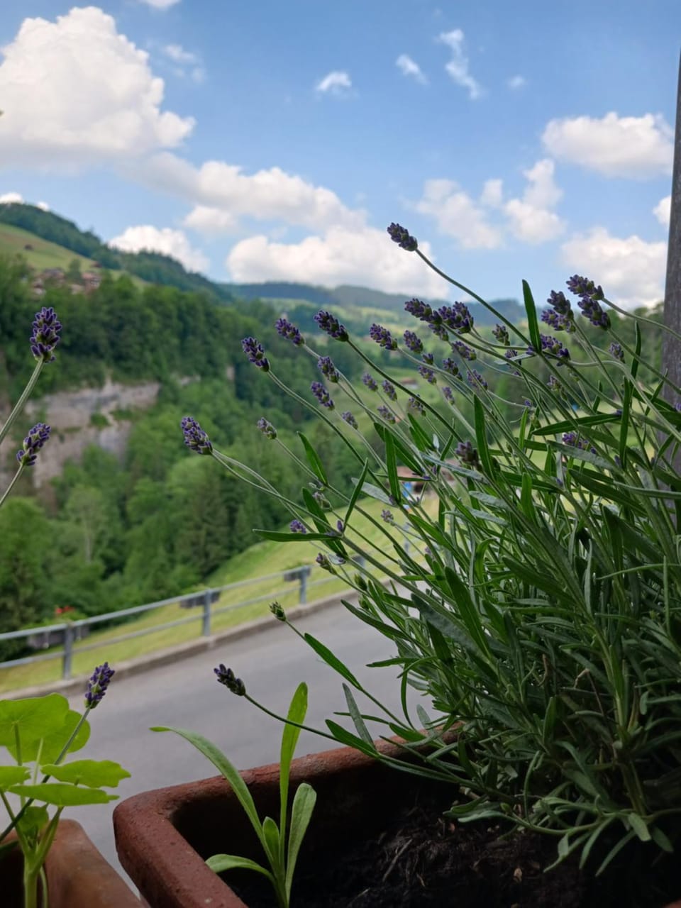 Day, Natural landscape, Mountain view