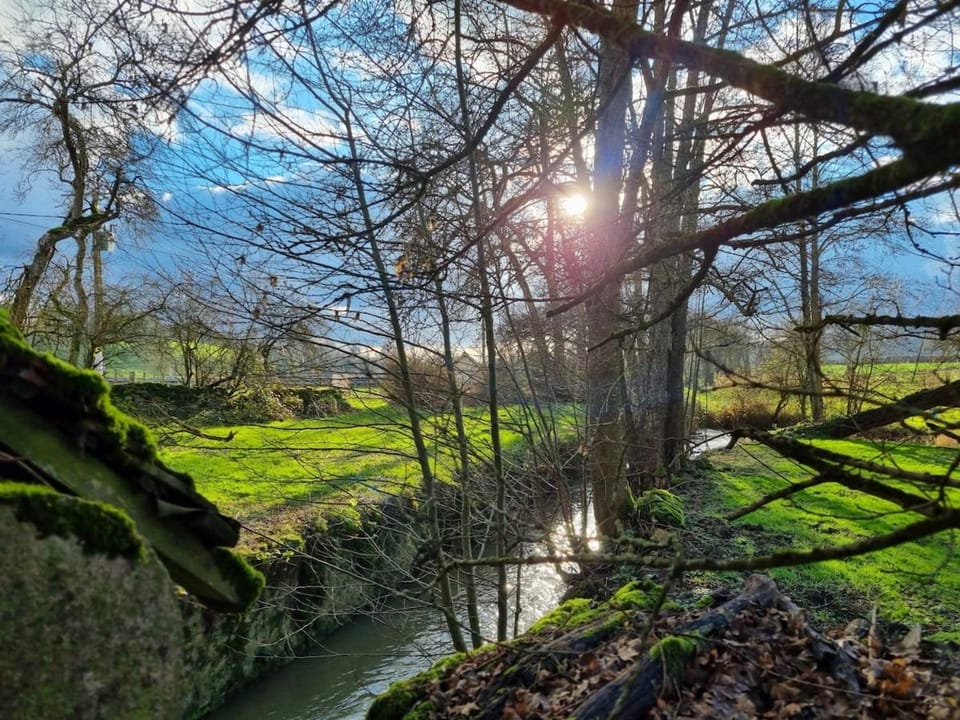 River view