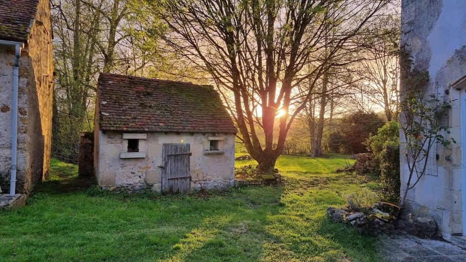 Spring, Natural landscape, Garden, Sunrise, Sunset