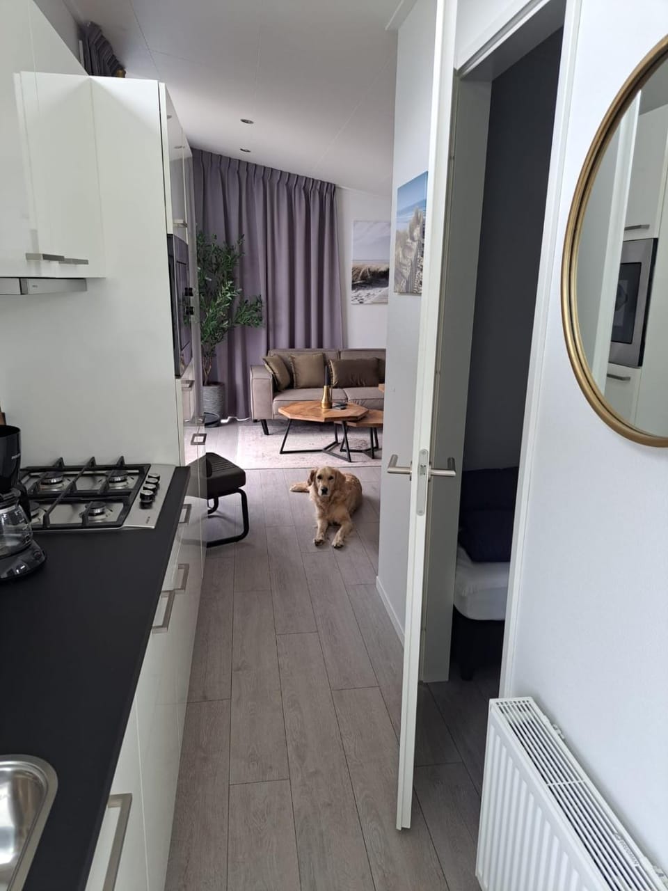 Kitchen or kitchenette