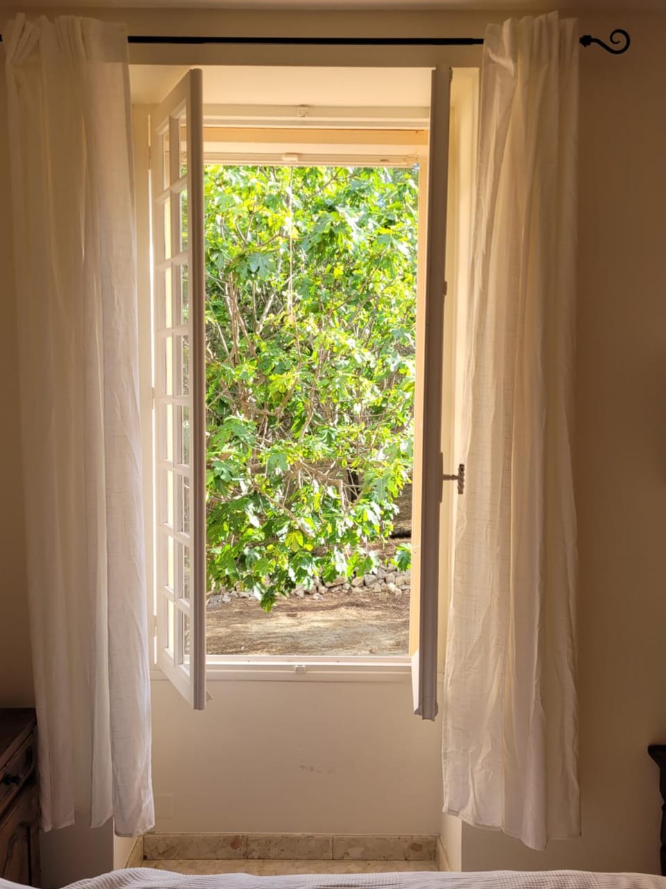 Garden view