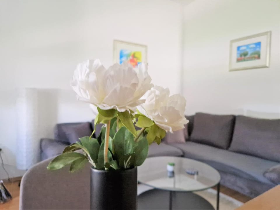 Vacation home Ivana Apartment in Vojvodina