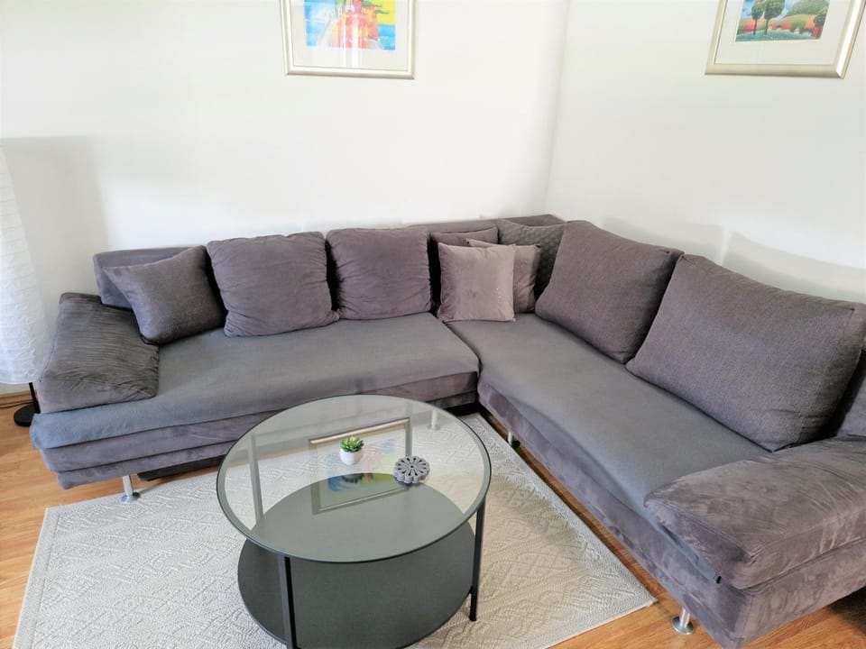 Vacation home Ivana Apartment in Vojvodina