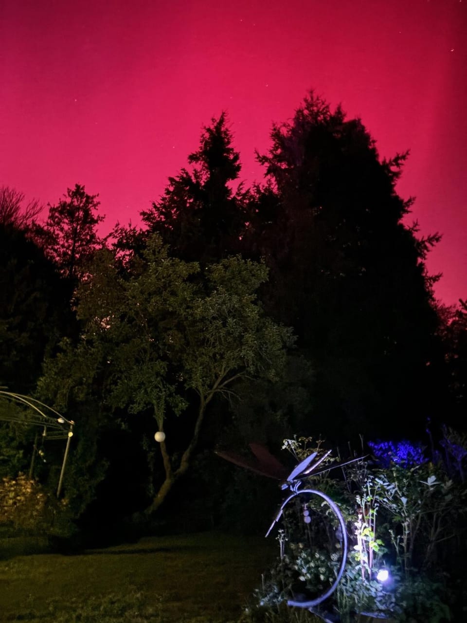 Garden view