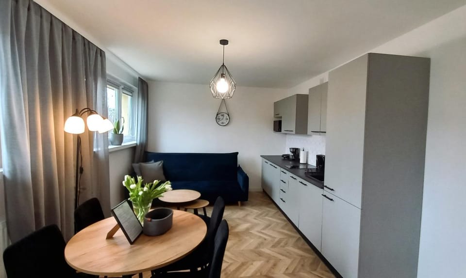 Coffee/tea facilities, Kitchen or kitchenette, Living room, Seating area, Dining area, toaster