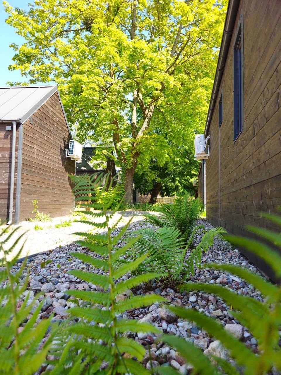 Property building, Garden view