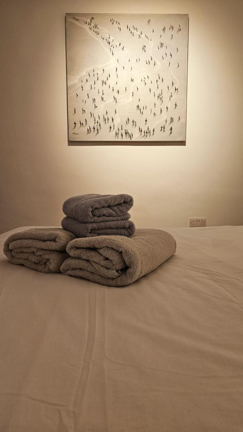 Shower, towels, towels