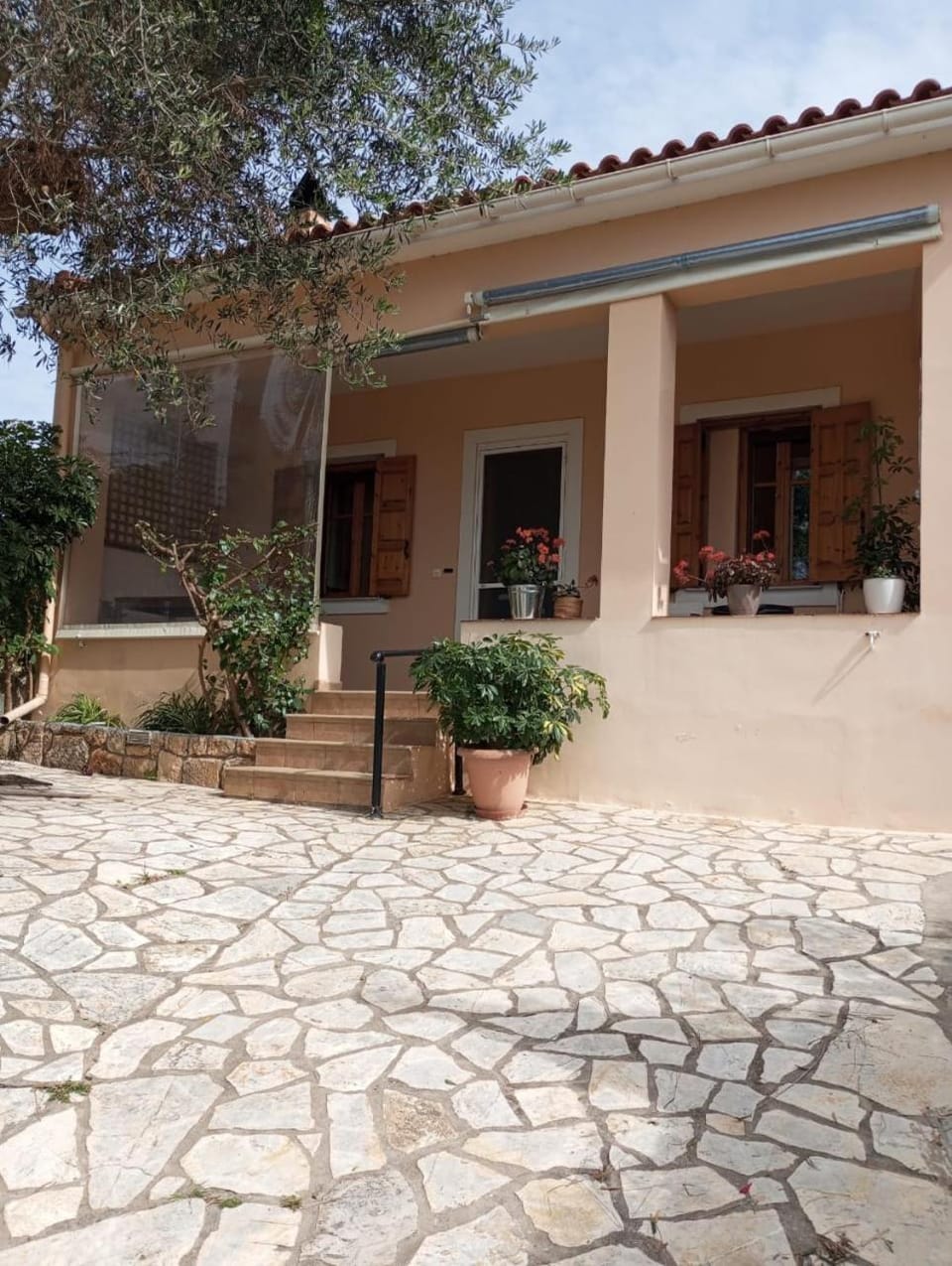 Bougainvillea Tree House House in Cephalonia