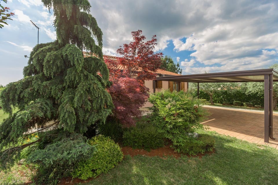 Patio, Natural landscape, Parking
