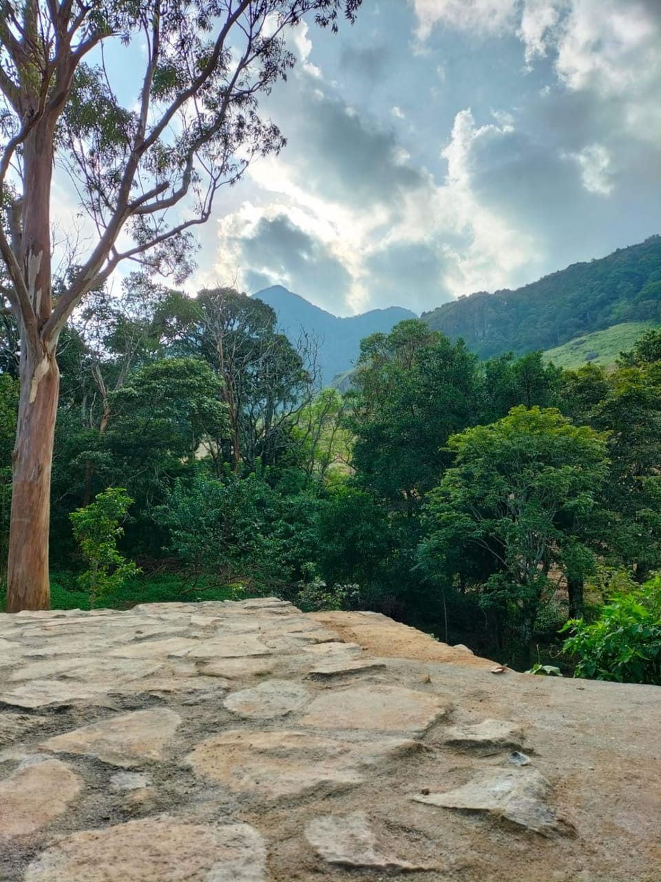 Day, Natural landscape, Garden, Mountain view