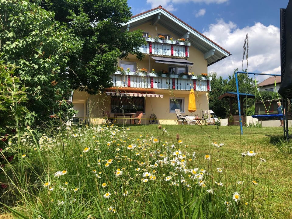 Spring, Day, Natural landscape, Garden, Garden view