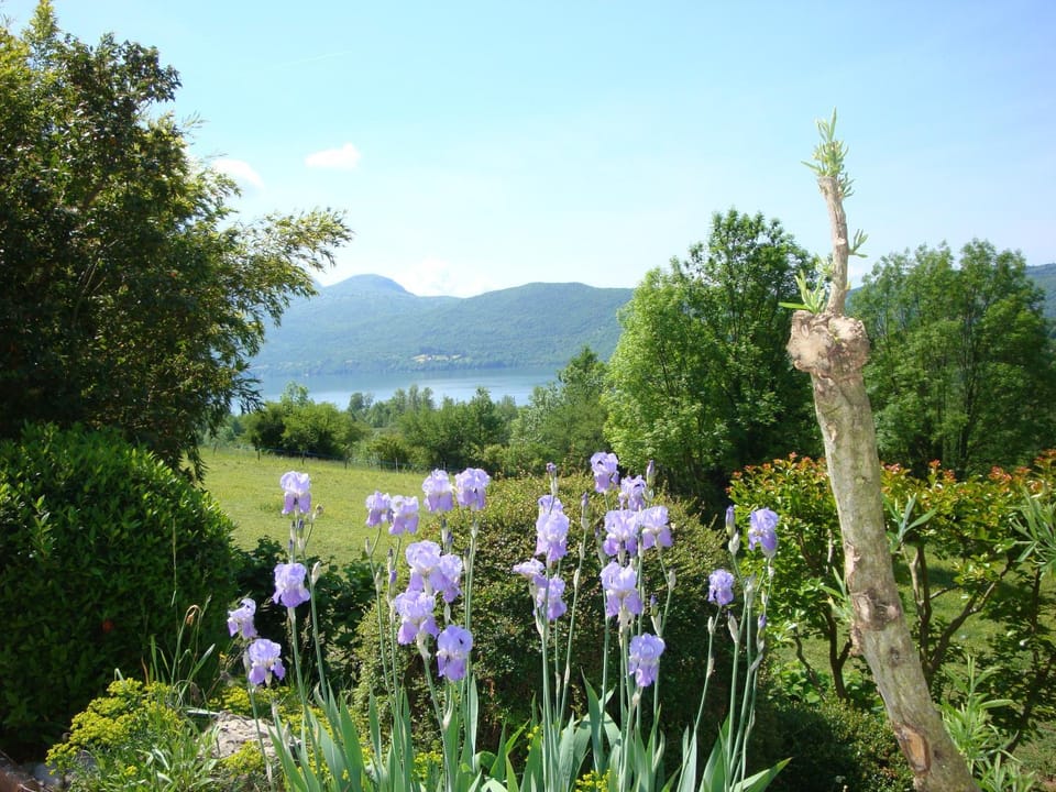 Lake view