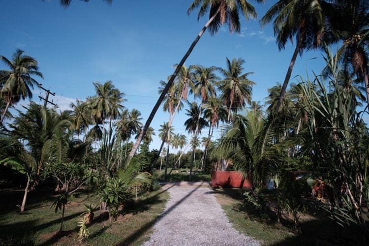 Coconut Tree Homestay Vacation rental in Prachuap Khiri Khan, Thailand
