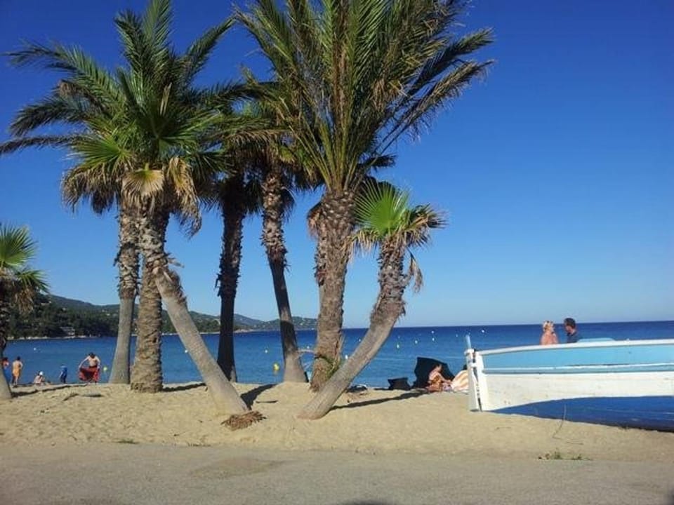 Appartement calme, 4 couchages, proche plage et commerces, terrasse exposée sud, parking privatif - FR-1-251-508 Apartment in Le Lavandou