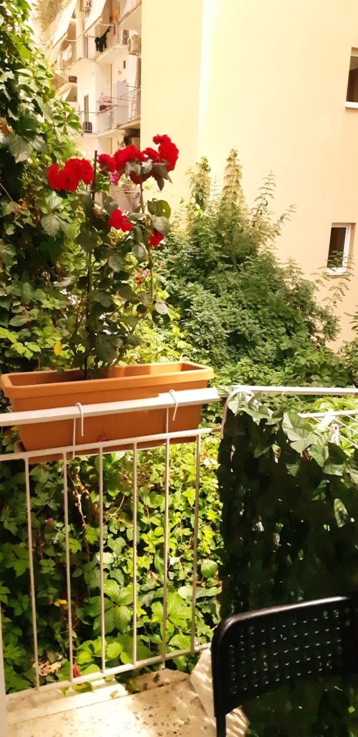 Day, Garden, View (from property/room), Garden view