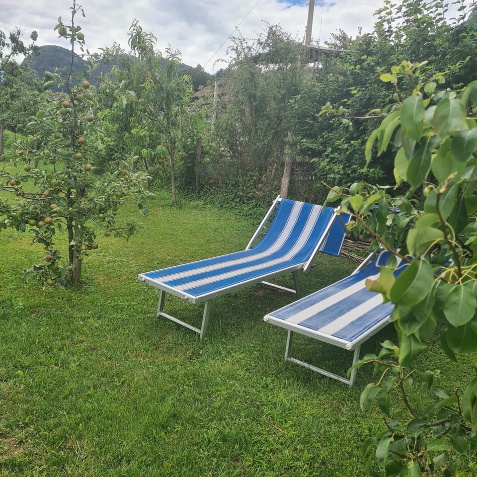 Harmony Apt 2 Apartment in Trentino-South Tyrol