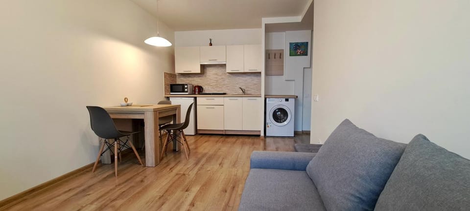 Kitchen or kitchenette, Living room, Dining area, washing machine