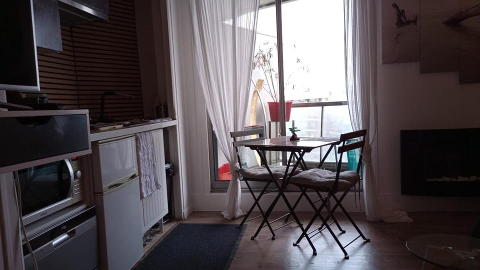 Studio meublé vue tour Eiffel et tout Paris Apartment in Paris