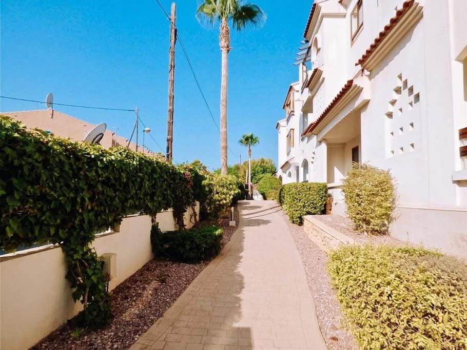 Property building, Garden view