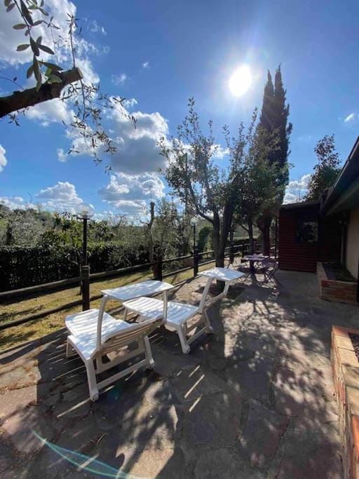 Patio, Spring, Day, Natural landscape, Summer, Garden, Dining area, Garden view, Breakfast, sunbed
