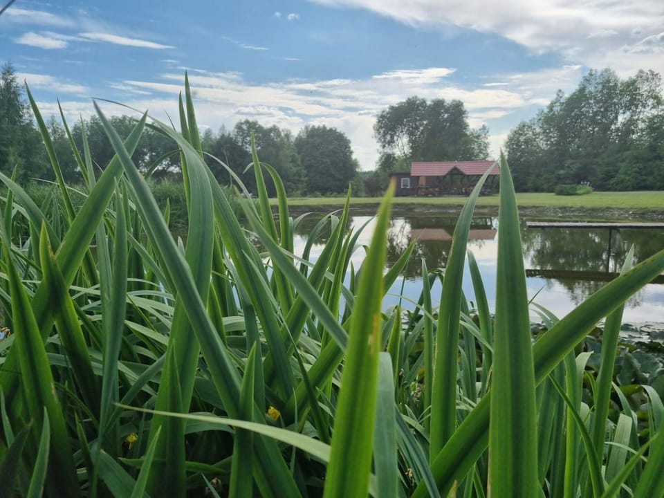 Atostogų namelis kaime Nature lodge in Vilnius County, Lithuania