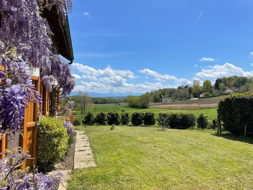 Garden, Garden, Garden view