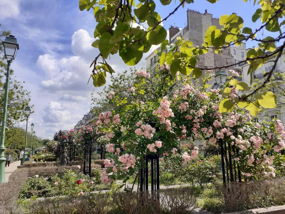 Garden, Garden view
